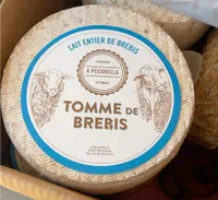 Pecurella TOMME BREBIS