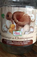 Mélange de Champignons