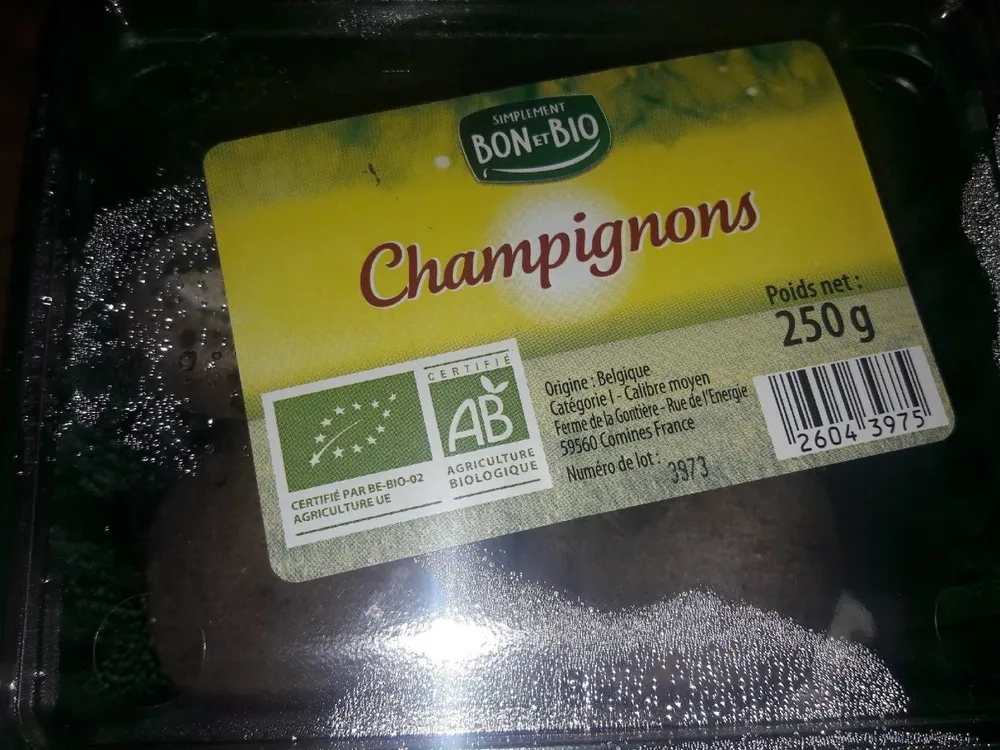 Champignons