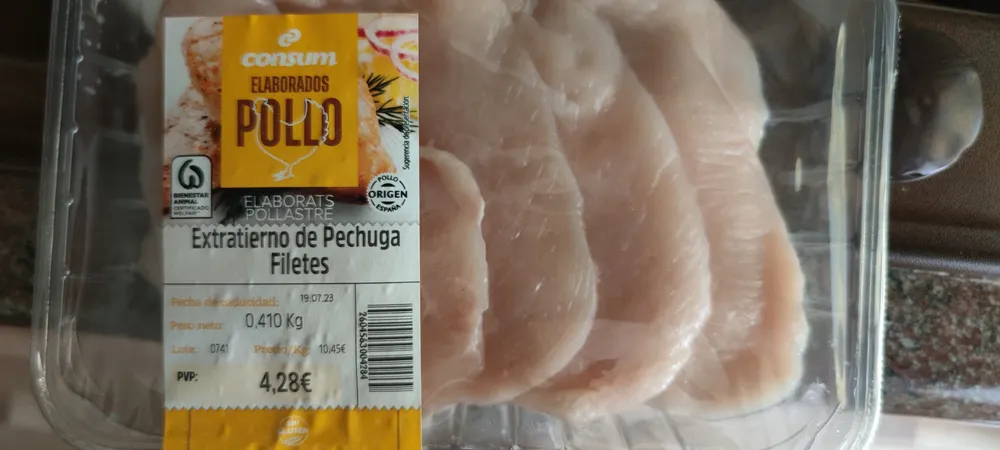 Pollo