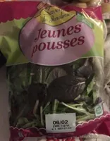 Salade jeunes pousses
