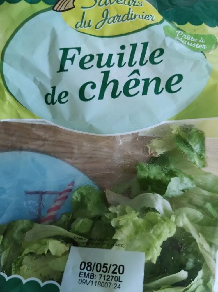 Feuille de chêne