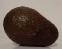 Avocat de Colombie
