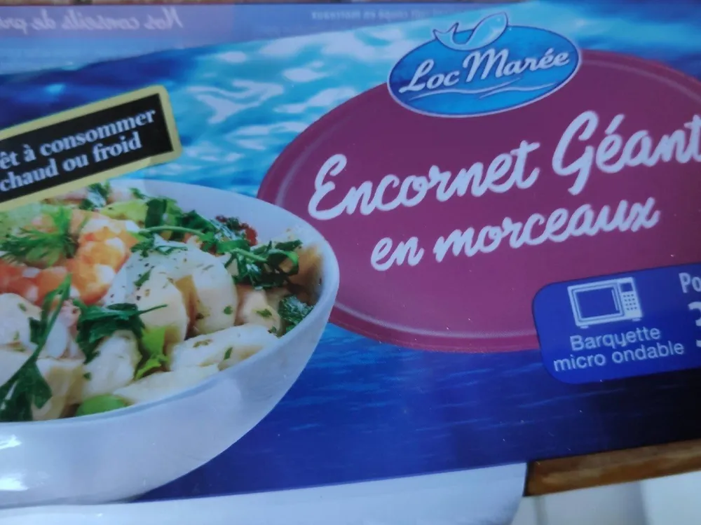 Encornets géants en morceaux