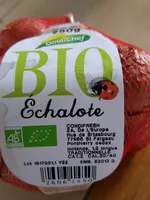 Echalote
