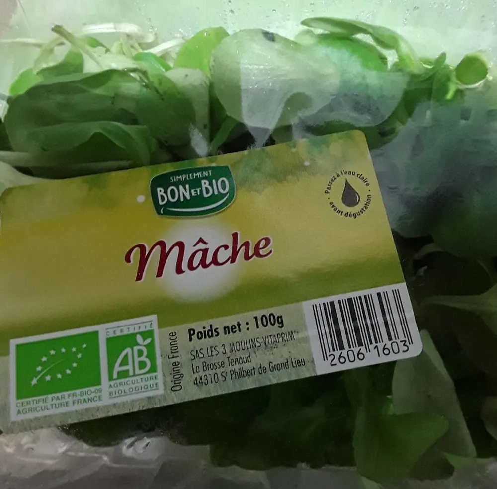 Mâche