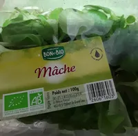 Mâche