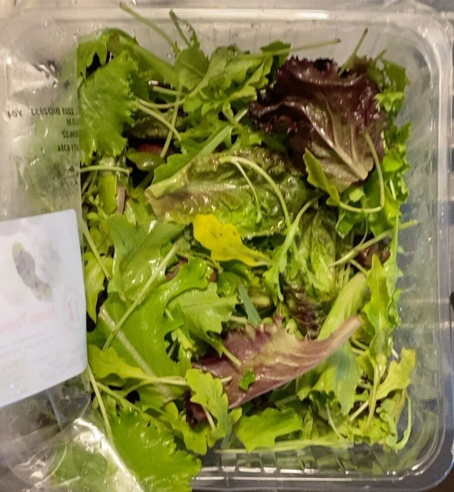 Jeunes pousses de salades