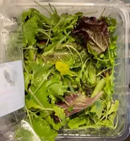 Jeunes pousses de salades