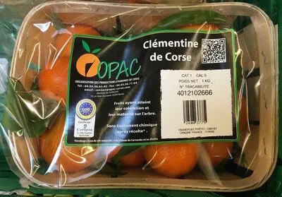 Clémentine de Corse