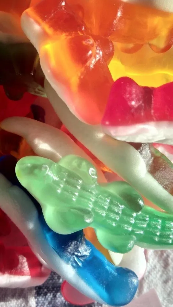 Crocodile - confiserie gélifiée fantaisie