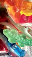 Crocodile - confiserie gélifiée fantaisie