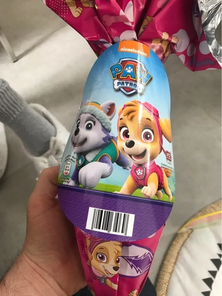 Paw patrol