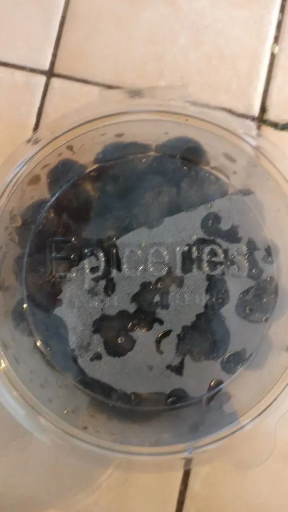 Olives noires confites dénoyautées en saumure