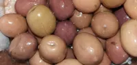 Olives cassées pimentée