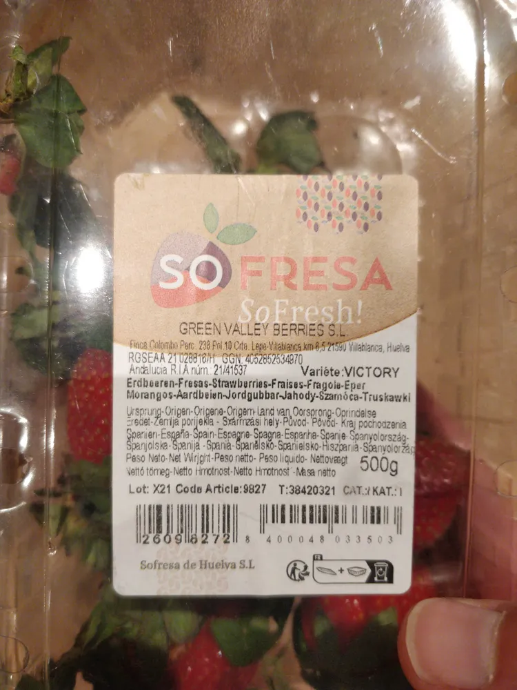 Fraises de Carpentras