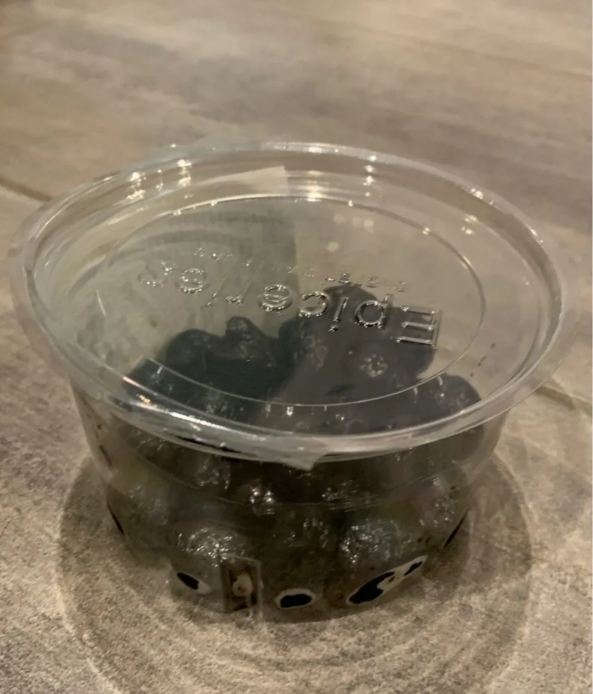 Olives noires entiere a la grecque