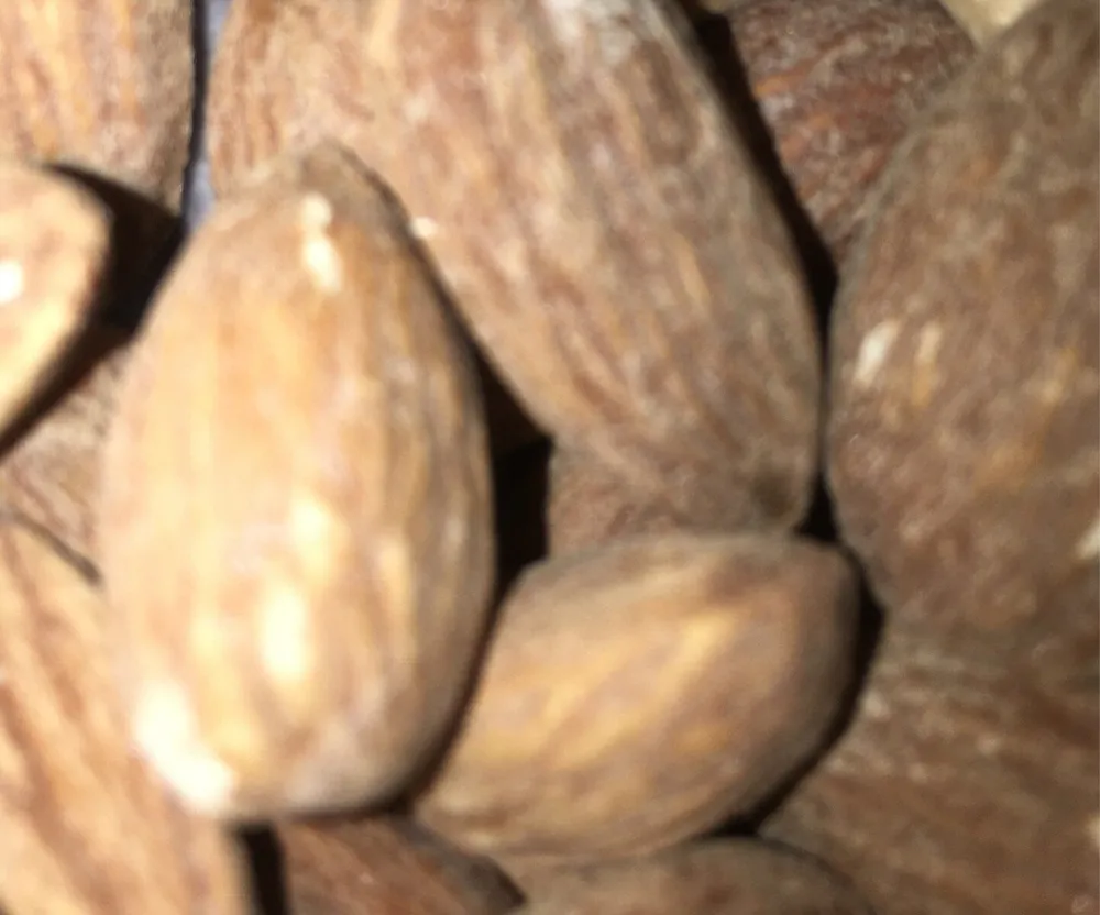 Amandes grillées a sec et salée