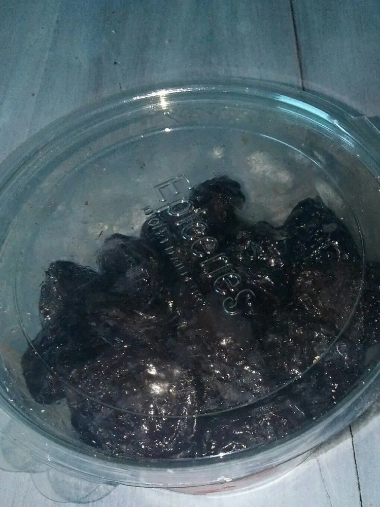 Spécialité de pruneaux