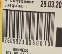 Datte medjoul