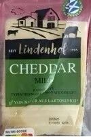 cheddar