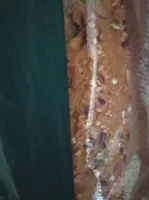 Barra de PAN con semillas