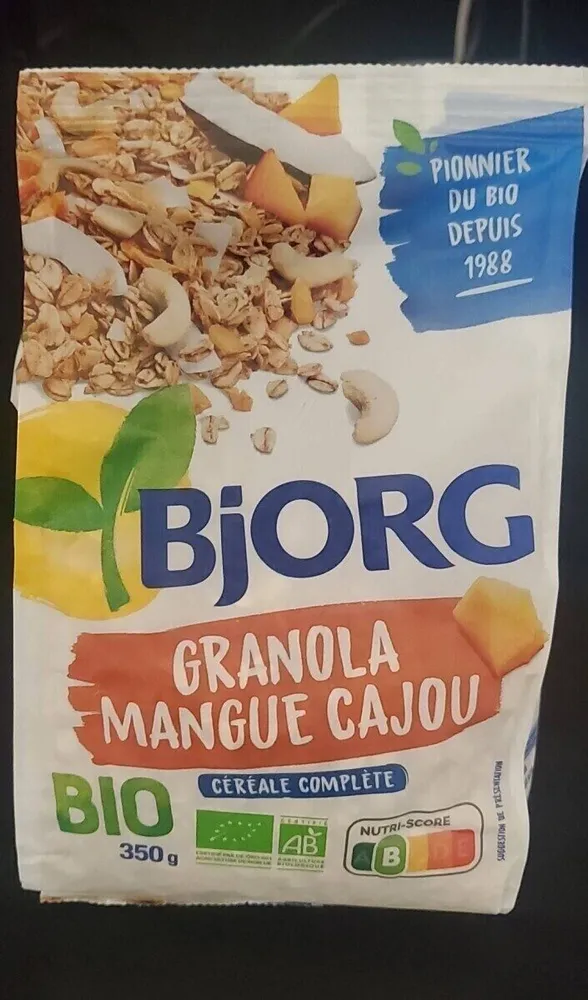 Granola mangue cajou