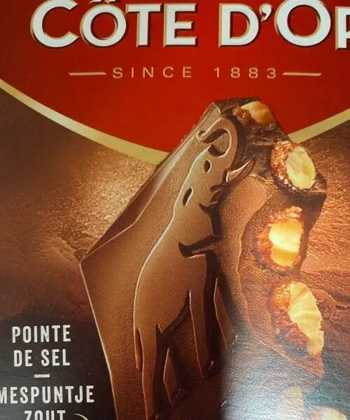 Chocolat lait amandes caramélisées