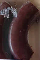 Boudin boire à l oignon
