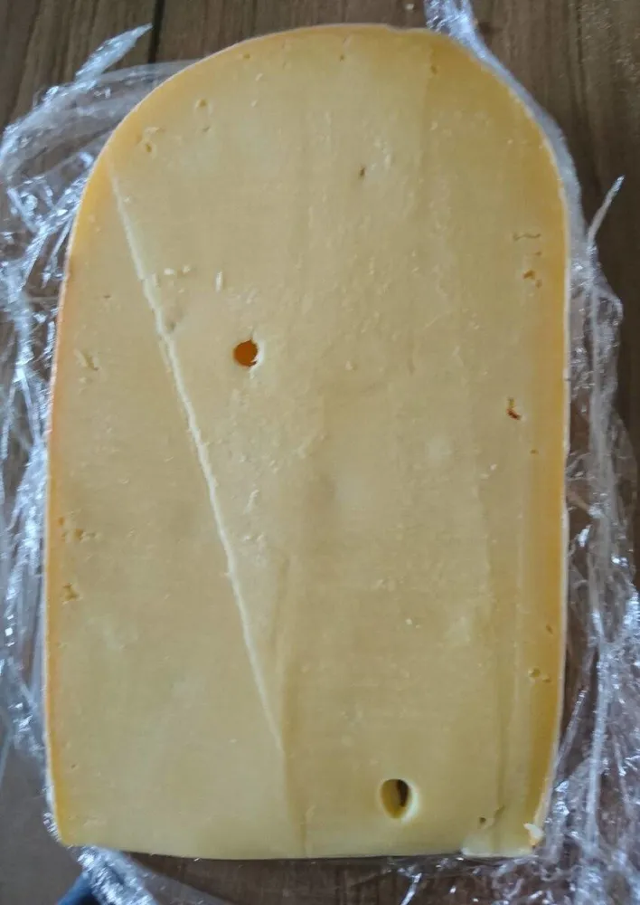 Gouda jeune hollandia