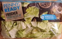 Frischer Eisbergsalat