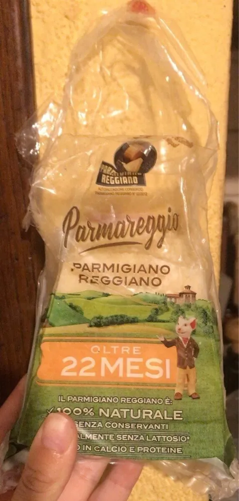 Formaggio parmigiano reggiano doc