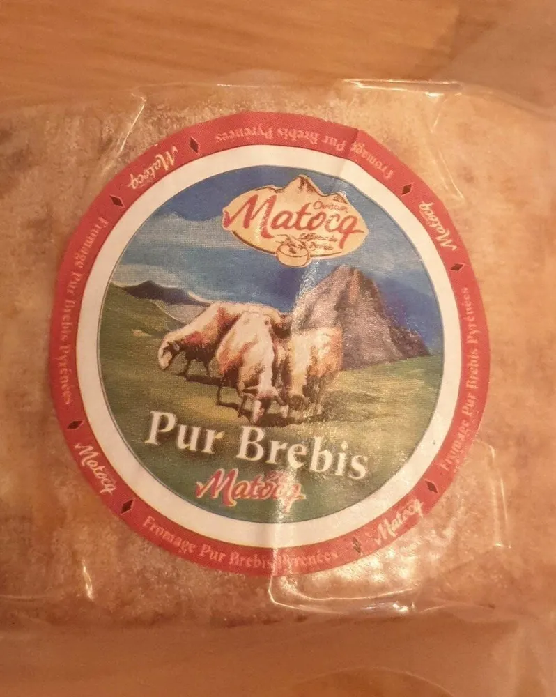 Pur brebis Pyrénées Matocq
