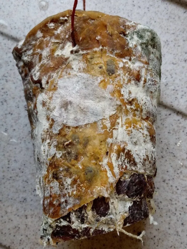 Lonzo de Corse