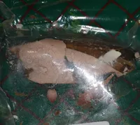 Pâté de foie