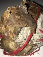 Saucisson SAMPIERO