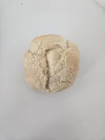 Bijou Bread
