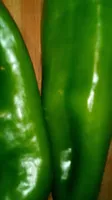Pimiento verde cash ecomfamilia