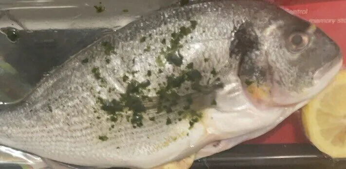 Dorade