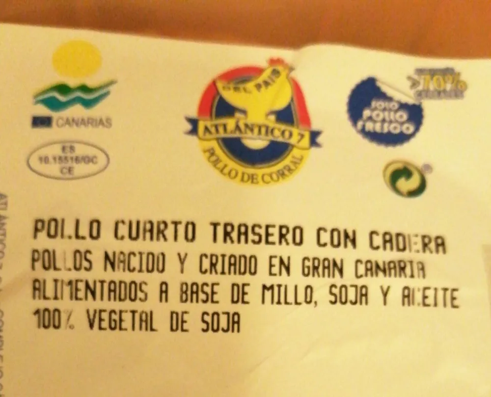 Pollo