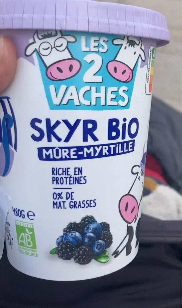 Skyr myrtille