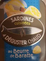 Sardines