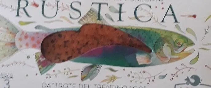 Trota salmonata affumicata rustica