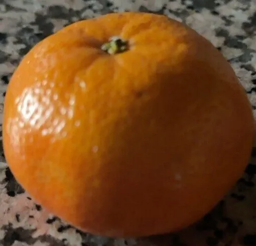 Mandarine