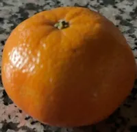 Mandarine