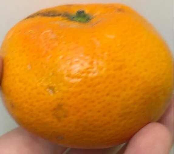 Mandarines