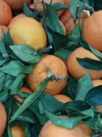 Oranges du Portugal