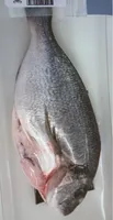 Dorada Eviscerada