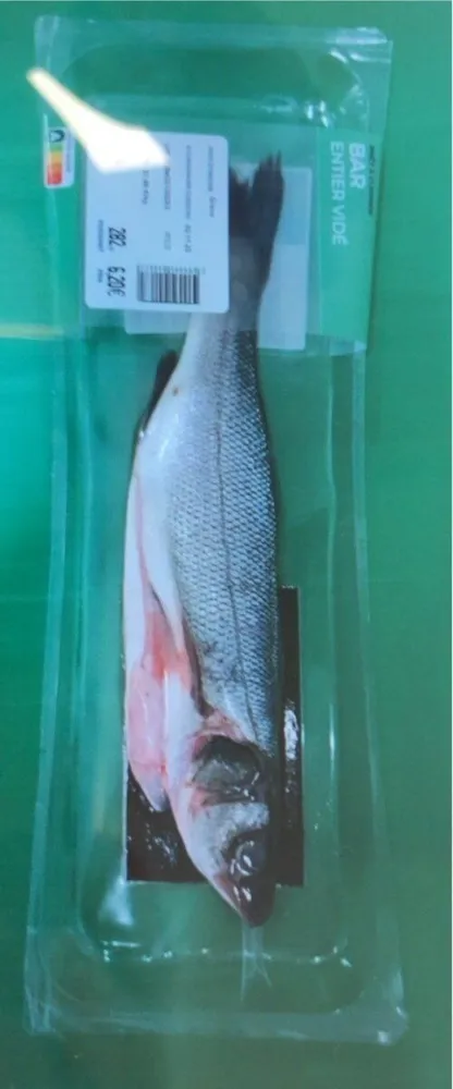 Lubina Eviscerada