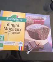 6 mini moelleux au chocolat